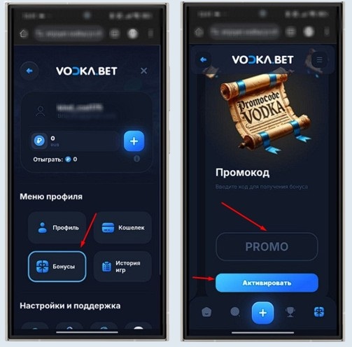 Применение промокода в Vodka Casino
