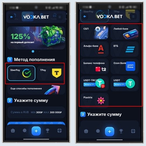 Методы внесения депозита в казино Водка